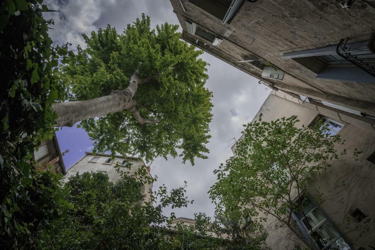 Les Jardins De L'Ecusson - Premiere Conciergerie Leilighet Montpellier Eksteriør bilde