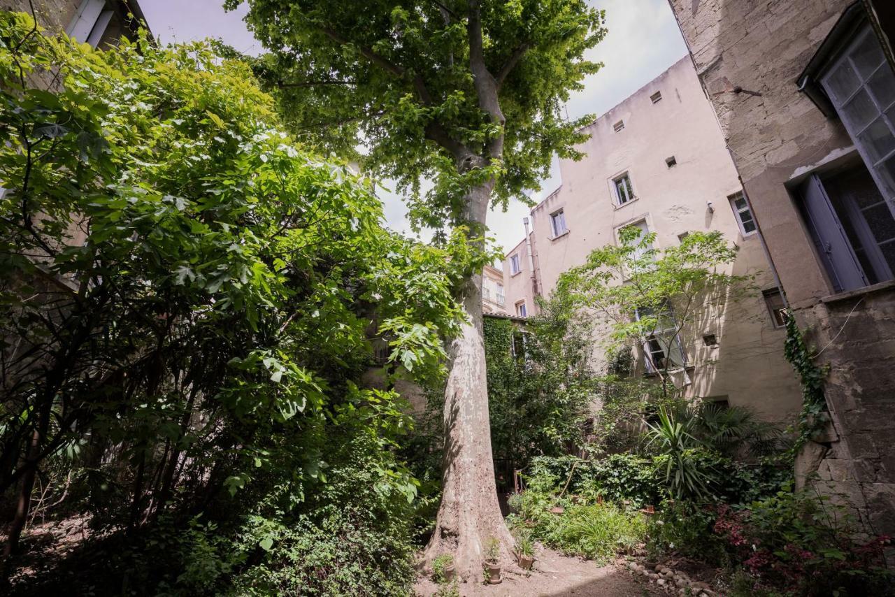 Les Jardins De L'Ecusson - Premiere Conciergerie Leilighet Montpellier Eksteriør bilde